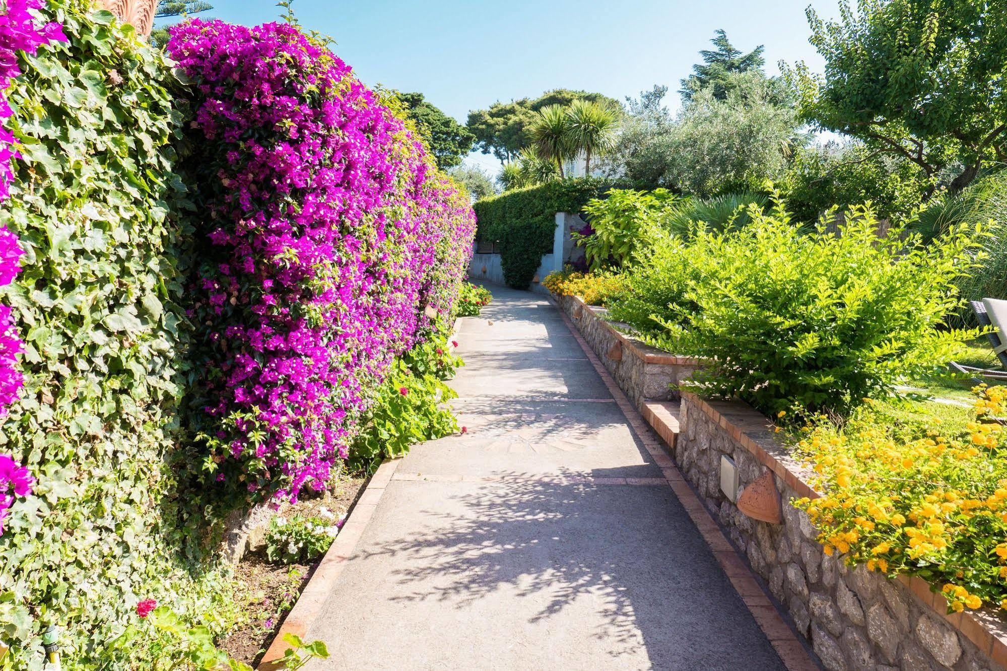 Hotel Villa Ceselle Anacapri  Dış mekan fotoğraf