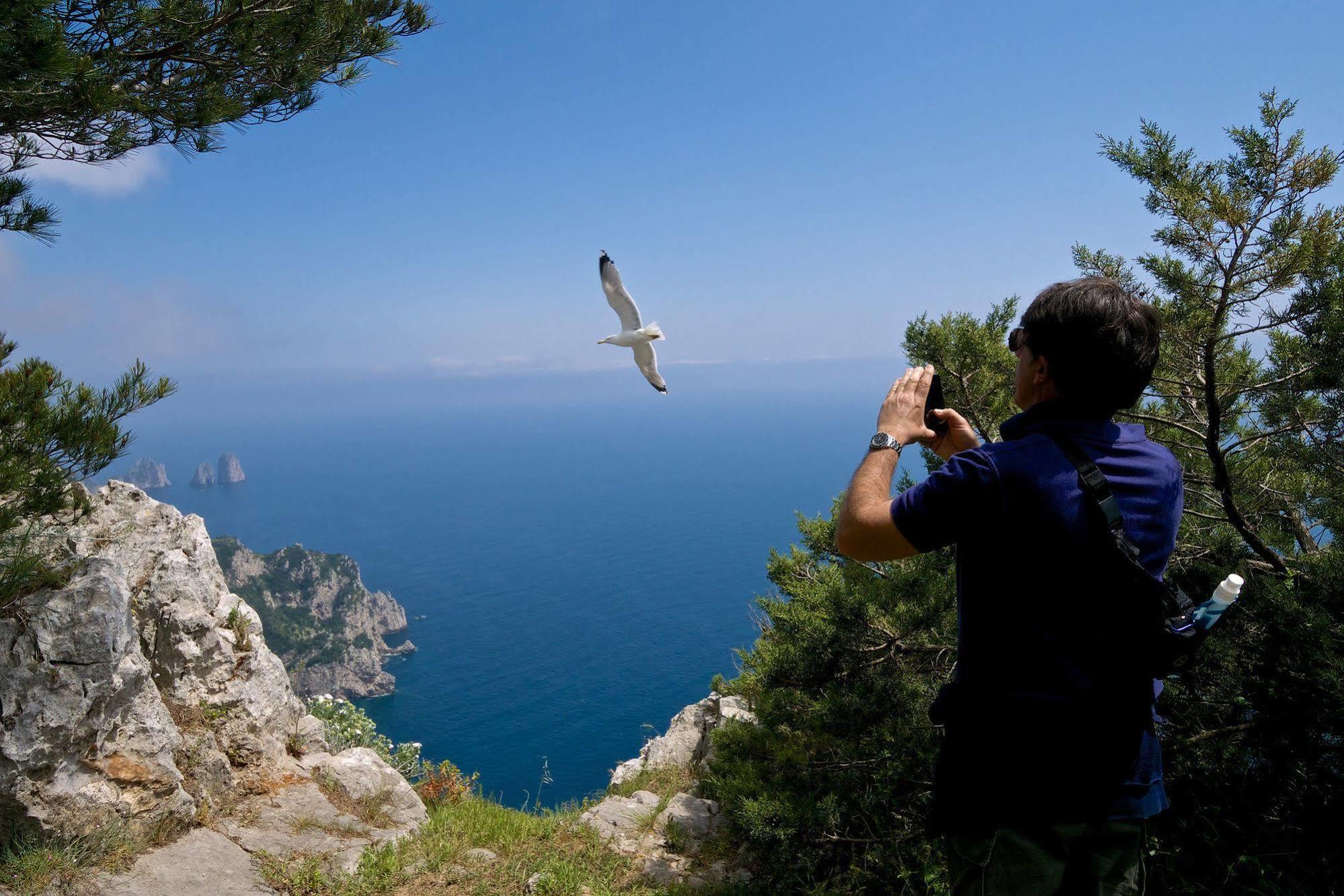 Hotel Villa Ceselle Anacapri  Dış mekan fotoğraf